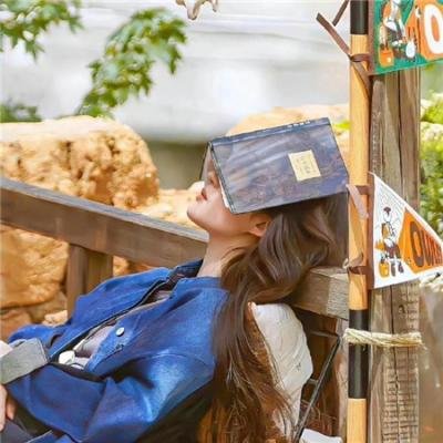 报告王爷，王妃是只猫2